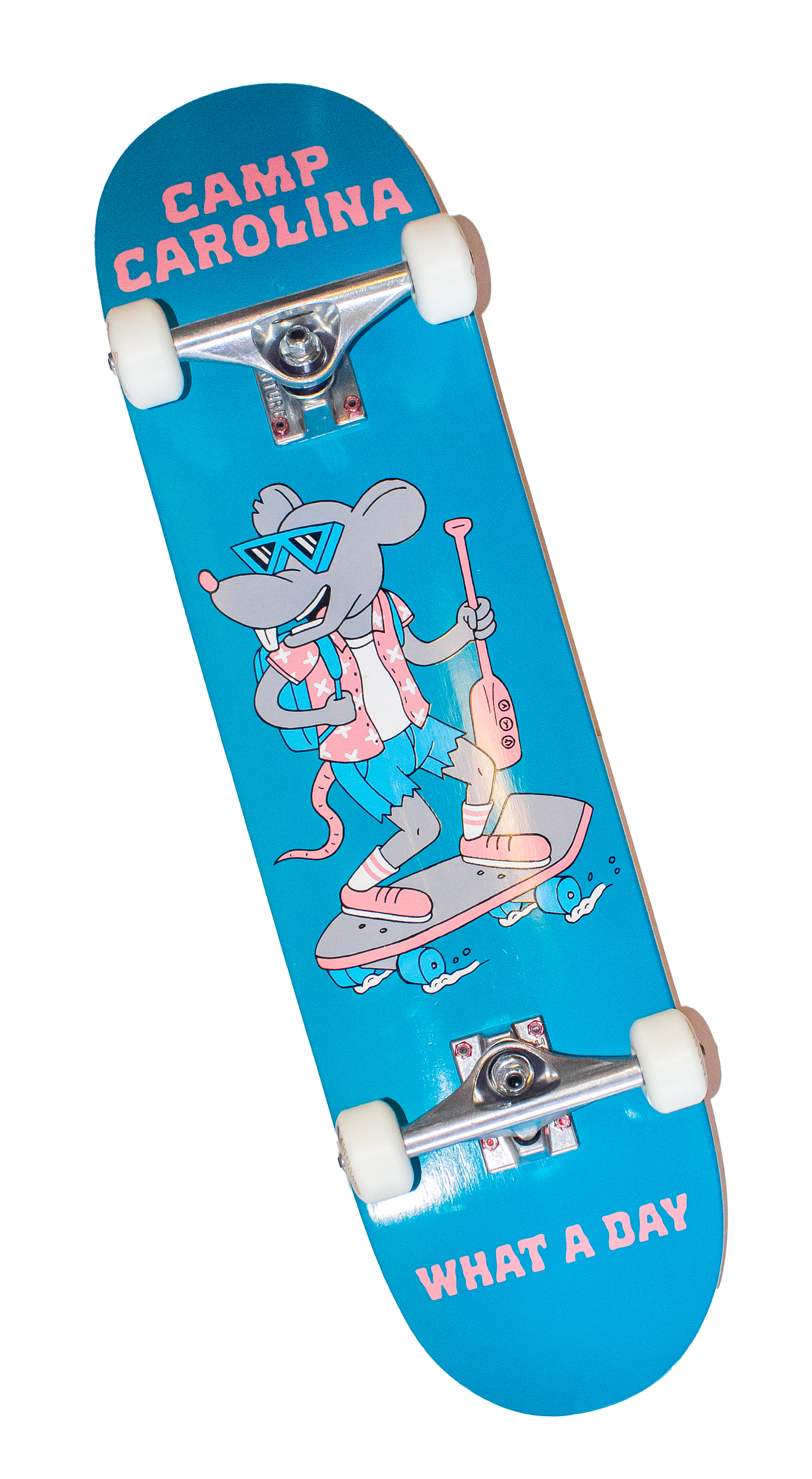 What A Day Camp Carolina Skateboard
